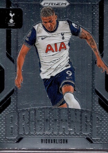 Richarlison 2024 panini - richarlison,